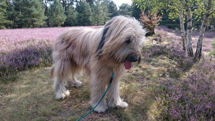 Henry mit 2 Jahren und 6 Monaten