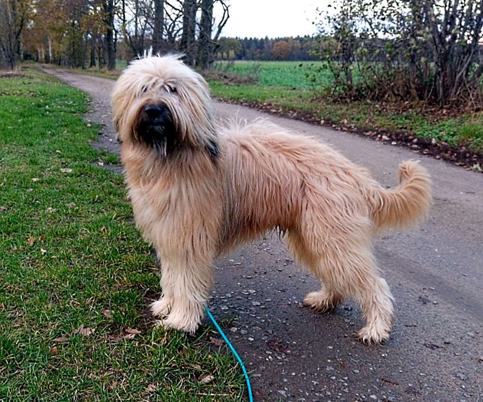 Henry mit 2 Jahren und 9 Monaten