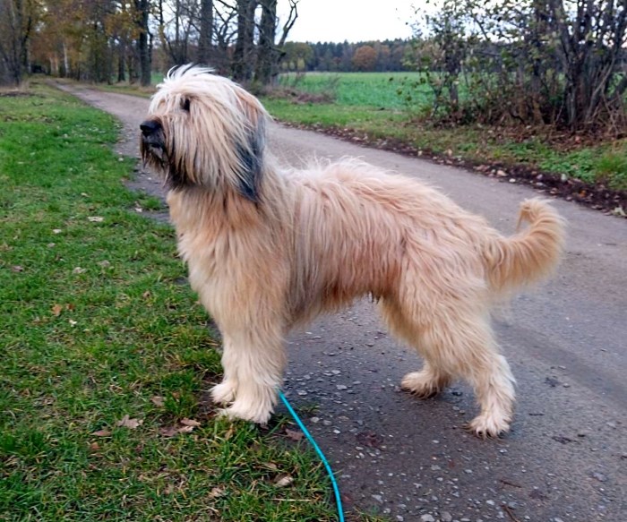 Henry mit 2 Jahren und 9 Monaten