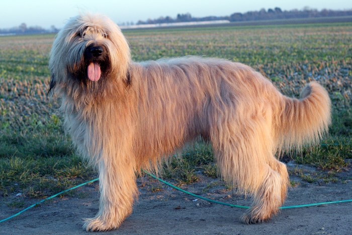 Henry mit 2 Jahren und 10 Monaten