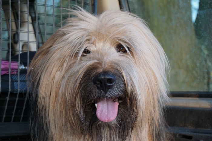 Henry mit 3 Jahren und 1 Monat