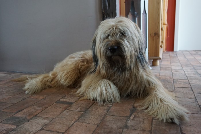 Henry mit 3 Jahren und 1 Monat