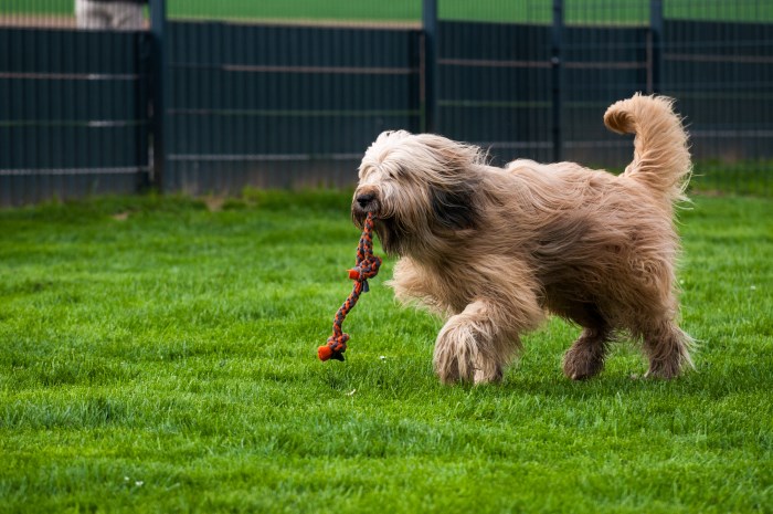Henry mit 3 Jahren und 2 Monaten