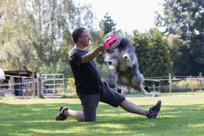 Lio beim Frisbeefangen 08.2016