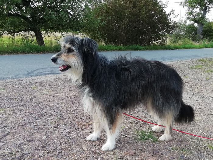 Lio 08.2019