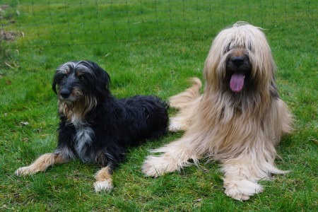 Anka von der Baar und Henry