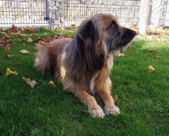 Cody mit 18 Monaten