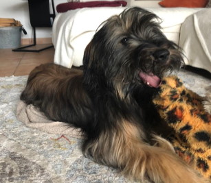 Charlotte mit acht Monaten