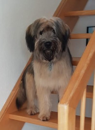 Ciro mit acht Monaten