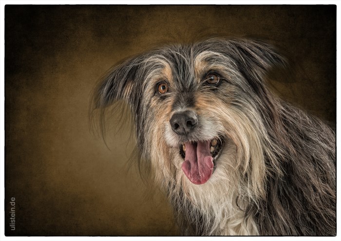 Lio (Foto von Uli Stein)