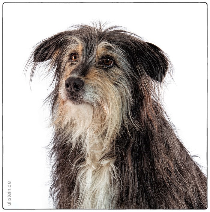 Lio (Foto von Uli Stein)