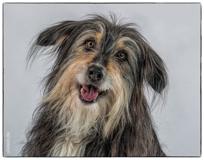 Lio (Foto von Uli Stein)
